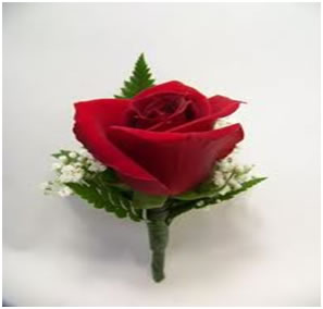Rose Boutonniere