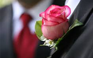 Rose Boutounniere